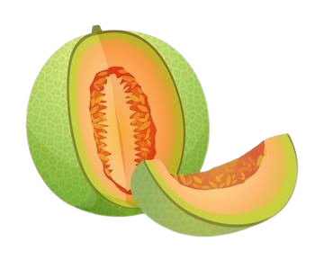 Melon