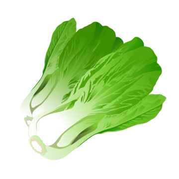 Pak Choi 